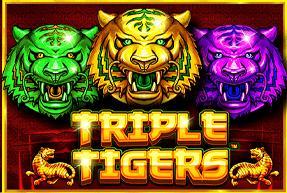 Triple Tigers Mobile