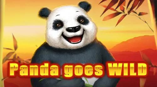 Panda Goes Wild