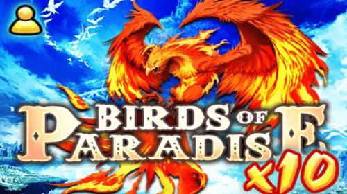 BirdsOfParadise Multiplayer x10