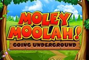 Moley Moolah Mobile