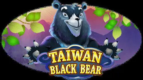 Taiwan Black Bear slot